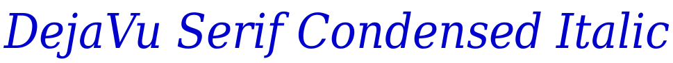 DejaVu Serif Condensed Italic 字体